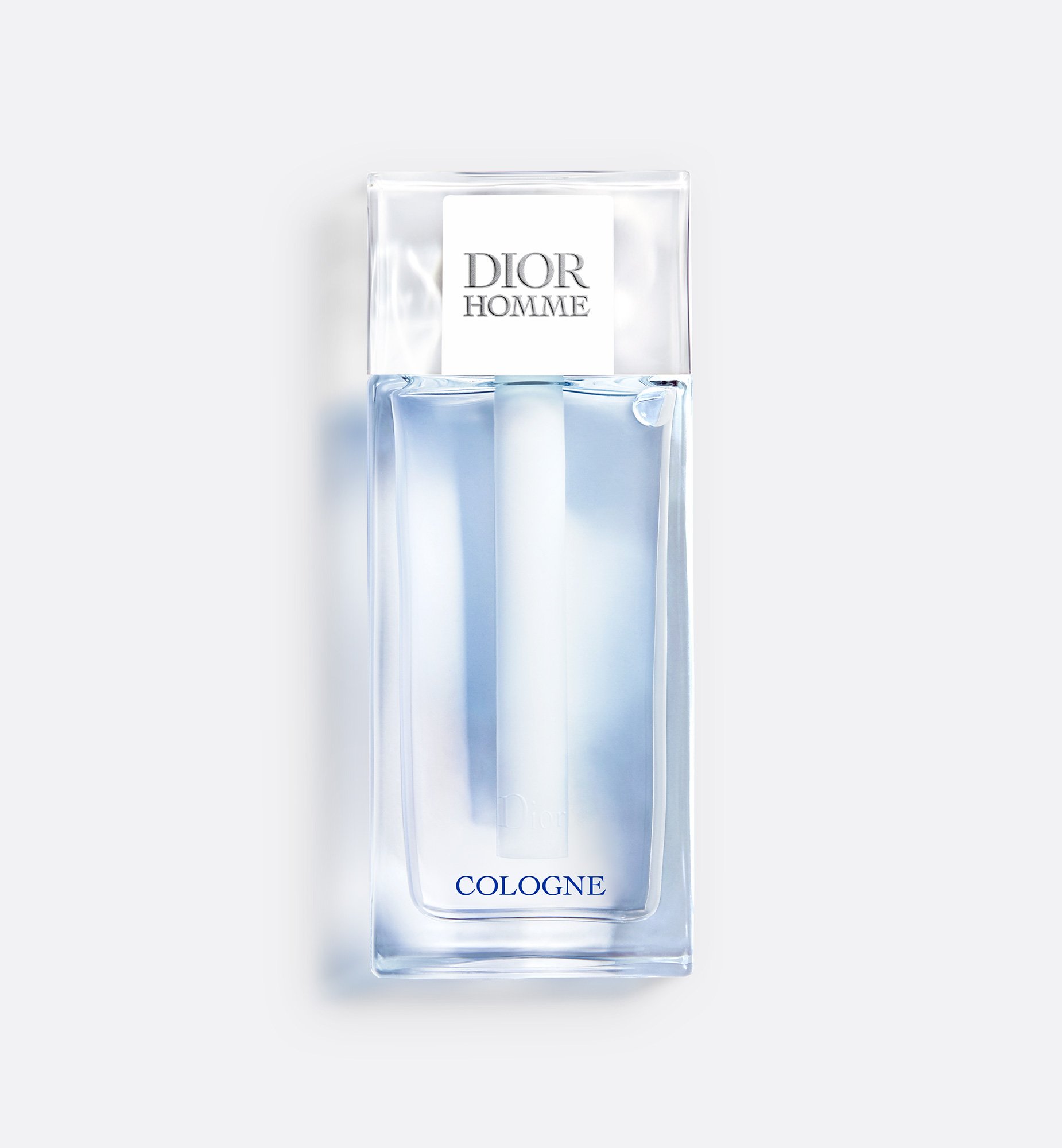 Dior Homme
